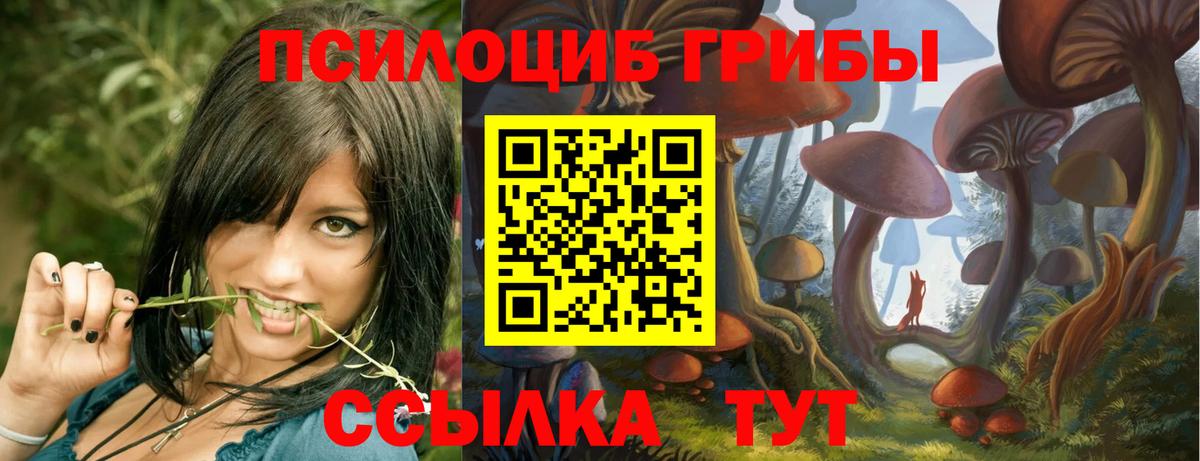 Строитель  Галлюциногенные грибы мухоморы  Псилоцибиновые грибы Psilocybine cubensis  Вход с VPN 